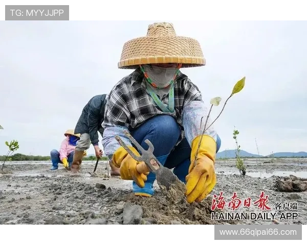如何安全便捷地访问红树林登录网址的完整指南